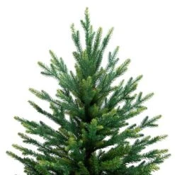 Northlight Real Touch™️ Two-Tone River Deer Pine Full Artificial Christmas Tree - 6.5' - Unlit 12 Northlight Real Touch™️ Two-Tone River Deer Pine Full Artificial Christmas Tree - 6.5' - Unlit -Northlight Sale GUEST 008edead 16d9 456b 80f8 a65abe2ef074