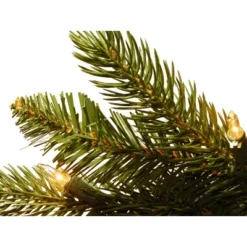 National Tree Company 6.5' Prelit Pencil Slim Grand Fir Artificial Christmas Tree Clear Lights 9 National Tree Company 6.5' Prelit Pencil Slim Grand Fir Artificial Christmas Tree Clear Lights -Northlight Sale GUEST 0a2a3190 3556 41b6 b46b 3b31aa2d3124