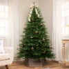 Northlight Real Touch™️ Two-Tone River Deer Pine Full Artificial Christmas Tree - 6.5' - Unlit -Northlight Sale GUEST 13f1e0fa 04ce 4a2c a3b6 23a3f803c859