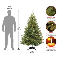 6' Unlit Kincaid Spruce Artificial Christmas Tree Clear Lights - National Tree Company 9 6' Unlit Kincaid Spruce Artificial Christmas Tree Clear Lights - National Tree Company -Northlight Sale GUEST 15db00e7 fec5 46ef 8f16 42d30df03d5b