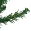 Northlight Pre-Lit Pencil Northern Balsam Fir Artificial Christmas Tree - 6' - Warm Clear LED Lights -Northlight Sale GUEST 1d297d18 e51d 4ad4 8172 55700d06c93b