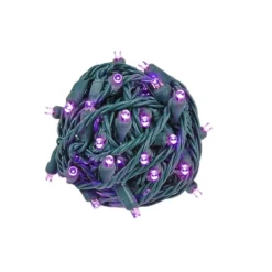 Novelty Lights 50 Light LED Christmas Mini Light Set (Green Wire, 25 Feet) -Northlight Sale GUEST 1ee39584 7fed 4f45 bcf7 3058a9061d71