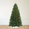 Northlight Pre-Lit Full Northern Pine Commercial Artificial Christmas Tree - 14' - Multi-Color Lights -Northlight Sale GUEST 204f1af6 6c88 41bf 9ae7 bf8b9aa795c9