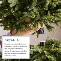 Balsam Hill 6.5' Color Clear LED Classic Blue Spruce Tree 17 Balsam Hill 6.5' Color Clear LED Classic Blue Spruce Tree -Northlight Sale GUEST 23fab272 b6b3 4437 9727 aded7b98e8a8