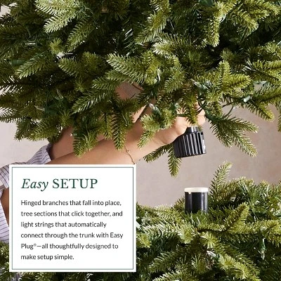 Balsam Hill 6.5' Color Clear LED Classic Blue Spruce Tree 9 Balsam Hill 6.5' Color Clear LED Classic Blue Spruce Tree - Image 7