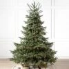 Balsam Hill 9' Clear LED European Fir Tree -Northlight Sale GUEST 24e19301 3775 4817 80ee 2b6652a40b3b