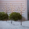 3ct LED Artificial Twig Christmas Stake Lights Warm White - Wondershop™: Birch Effect, 30" Height, Electric Powered Outdoor Pathway Decor -Northlight Sale GUEST 2577758e 7330 4636 8a35 490664c25737