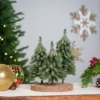 Northlight Icy Downswept Pine Trio Of Trees Christmas Decoration - 8" - Unlit 1 Northlight Icy Downswept Pine Trio Of Trees Christmas Decoration - 8" - Unlit -Northlight Sale GUEST 279b0919 8ab6 4783 82de 68e58455856d