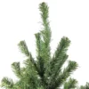 Northlight Canadian Pine Medium Artificial Christmas Tree - 5' - Unlit 1 Northlight Canadian Pine Medium Artificial Christmas Tree - 5' - Unlit -Northlight Sale GUEST 2c7a7082 d7ac 40f4 8d30 a0bc23e31db0