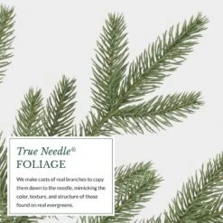 Balsam Hill 7.5' Clear LED Stratford Spruce Tree 19 Balsam Hill 7.5' Clear LED Stratford Spruce Tree -Northlight Sale GUEST 2d46bb7c 3dda 4917 bc8d c2880645f827