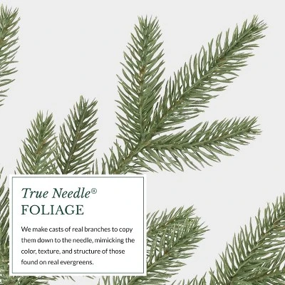 Balsam Hill 7.5' Clear LED Stratford Spruce Tree 9 Balsam Hill 7.5' Clear LED Stratford Spruce Tree - Image 7