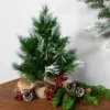 Northlight Whitecap Pine Artificial Mini Christmas Tree - 14" - Unlit 1 Northlight Whitecap Pine Artificial Mini Christmas Tree - 14" - Unlit -Northlight Sale GUEST 2e596226 f29c 41f0 a47a 95292ed20371