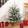 Northlight Real Touch™ Pre-Lit B/O Tamarack Pine Artificial Christmas Tree With Burlap - 3' Warm White LED -Northlight Sale GUEST 2eb7b2f9 660c 459f 8eee 1f9ba4f33955