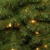 National Tree Company National Christmas Tree Company Pre-Lit Kincaid Spruce Artificial Christmas Tree 2 National Tree Company National Christmas Tree Company Pre-Lit Kincaid Spruce Artificial Christmas Tree -Northlight Sale GUEST 3b03b938 7977 4849 b172 380fdb6d88ad