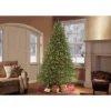 7.5ft Pre-lit Artificial Christmas Tree Full Forest Fir - Puleo -Northlight Sale GUEST 45ec971c 6221 47bd a44c 12eaca544b88