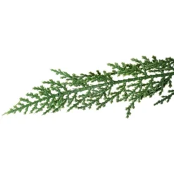 Northlight Pre-Lit Medium Weeping Cedar IPT Artificial Christmas Tree - 6.5' - Dual Color LED Lights -Northlight Sale GUEST 4933ec7f 9d4b 42c8 825d 157477810293