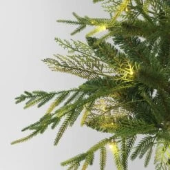 24" Pre-Lit Christmas Norfolk Cedar Artificial Greenery With Ground Stake - Wondershop™ -Northlight Sale GUEST 517b159a ab98 4251 ad4a 9a78c2d8852a