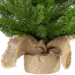 Northlight Real Touch™️ Potted Sarasota Pine Artificial Mini Christmas Tree - 24" - Unlit -Northlight Sale GUEST 5384a1d9 8963 4292 a044 d8029e9eef5e