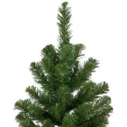 Northlight Blackwater Fir Medium Artificial Christmas Tree - 3' - Unlit 8 Northlight Blackwater Fir Medium Artificial Christmas Tree - 3' - Unlit -Northlight Sale GUEST 5689b9ec 7f4a 4ae8 ad82 ed148ceca7c6