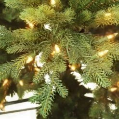 7.5ft Pre-Lit Full Berkshire Fir Artificial Christmas Tree - Puleo -Northlight Sale GUEST 5bd0a936 cb87 46ee 8509 3fbcdd5265cd