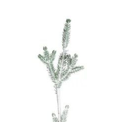 Northlight Frosted Slim Pine Artificial Christmas Tree In Burlap Base - 5' - Unlit -Northlight Sale GUEST 5d453374 117a 4f38 af96 e1e67b72a47b