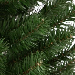 Northlight Blackwater Fir Medium Artificial Christmas Tree - 3' - Unlit 10 Northlight Blackwater Fir Medium Artificial Christmas Tree - 3' - Unlit -Northlight Sale GUEST 5edfa430 c663 47c7 bbb0 754f83d22568