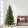 Puleo 6' Pre-Lit Canadian Spruce Artificial Christmas Tree 1 Puleo 6' Pre-Lit Canadian Spruce Artificial Christmas Tree -Northlight Sale GUEST 63f2533c 8619 46d4 866c d587f28450a7
