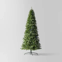 Pre-Lit LED Alberta Spruce Artificial Christmas Tree - Wondershop™ -Northlight Sale GUEST 66447362 7b2a 4c80 af39 76e48678d0c7