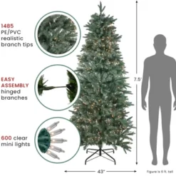 Northlight Real Touch™️ Pre-Lit Washington Frasier Fir Slim Artificial Christmas Tree - 7.5' - Clear Lights -Northlight Sale GUEST 6c7072f5 8401 43ab 9e4b d2dc8cb5368c