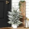 3' Pre-Lit Potted Flocked And Glittered Norfolk Artificial Christmas Tree - Wondershop™ -Northlight Sale GUEST 6f9df63f d6f9 48b6 82ce 43fbb803932e
