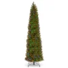 Prelit Slim Downswept Douglas Fir Artificial Christmas Tree Dual Color Lights - National Tree Company 1 Prelit Slim Downswept Douglas Fir Artificial Christmas Tree Dual Color Lights - National Tree Company -Northlight Sale GUEST 7bf49e55 5ca9 4c63 8fe8 d1850f8eb9b5