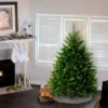 National Tree Company Pre-Lit Dunhill Blue Fir Artificial Christmas Tree With Clear Lights 1 National Tree Company Pre-Lit Dunhill Blue Fir Artificial Christmas Tree With Clear Lights -Northlight Sale GUEST 831364cc 7718 434d 8eb8 934bf2c4d1d9