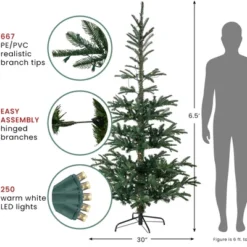 Northlight Real Touch™️ Pre-Lit Pencil Nordmann Fir Artificial Christmas Tree - 6.5' - Warm Clear LED Lights -Northlight Sale GUEST 87532dff cf00 4625 b499 805197cce026
