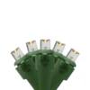Northlight LED Wide Angle Christmas Lights - Warm White - 9.5' Green Wire - 20ct