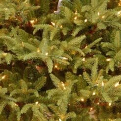 National Tree Company 7.5' Pre-lit Frasier Grande Artificial Christmas Tree 8 National Tree Company 7.5' Pre-lit Frasier Grande Artificial Christmas Tree -Northlight Sale GUEST 8acf6f14 9b6c 41ec 9dc0 8388f5a33ce3