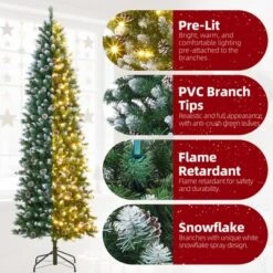 6ft/7.5ft/9ft/12ft Pre-Lit Pencil Christmas Tree With Dual-Color Lights, Slim Artificial Indoor Outdoor Xmas Tree For Home & Apartment -Northlight Sale GUEST 8d1084dd 65d4 4688 8dd0 bd157540fb41