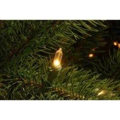 National Tree Company Pre-lit Feel Real Downswept Douglas Fir Artificial Christmas Tree With Dual Color LED Lights -Northlight Sale GUEST 8ddcb81d 081b 4db3 b915 00ebd146fc66