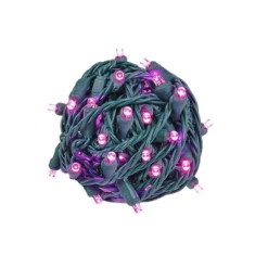 Novelty Lights 50 Light LED Christmas Mini Light Set (Green Wire, 25 Feet) -Northlight Sale GUEST 90658cc8 48ac 46ac 9027 3fb6821c71f9