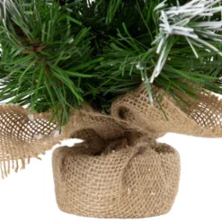 Northlight Whitecap Pine Artificial Mini Christmas Tree - 14" - Unlit -Northlight Sale GUEST 950f2d55 9601 456d b760 24ee8f0eab27