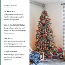 Balsam Hill 7.5' Clear LED Stratford Spruce Tree 18 Balsam Hill 7.5' Clear LED Stratford Spruce Tree -Northlight Sale GUEST 977e6968 8d65 441d 887f a36baaae01cb