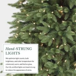 Balsam Hill 7.5' Clear LED Stratford Spruce Tree 20 Balsam Hill 7.5' Clear LED Stratford Spruce Tree -Northlight Sale GUEST a02dde0f 9c9f 4a96 96b9 e6518c170ea6
