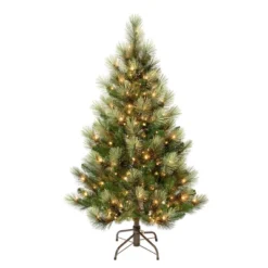 National Tree Company First Traditions Pre-Lit Charleston Pine Hinged Artificial Christmas Tree Clear Lights -Northlight Sale GUEST a25d929f 1421 4195 8077 6f4796d8337f