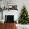 6' Unlit Kincaid Spruce Artificial Christmas Tree Clear Lights - National Tree Company -Northlight Sale GUEST a31b8672 c1a8 4f3a bd04 6987fe5c1144