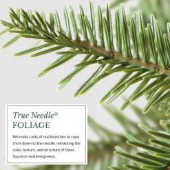 Balsam Hill Pre-Lit Alpine Balsam Artificial Christmas Tree -Northlight Sale GUEST a4df95e2 bcc8 4a39 b05a 923bfa6ce609