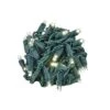 Novelty Lights 50 Light LED Christmas Mini Light Set (Green Wire, 25 Feet) -Northlight Sale GUEST a5b63271 4106 4bf7 a3de 68d537b4cc5d