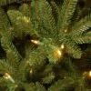 National Tree Company 10' Pre-lit Full Natural Fraser Fir Artificial Christmas Tree With Clear Lights -Northlight Sale GUEST a65786d2 8d3c 4527 b509 82acd7191ccd
