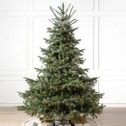 Balsam Hill 7.5' Clear LED European Full Fir Tree