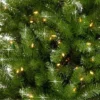 National Tree Company 7.5' Pre-lit Dunhill Shimmer Fir Artificial Christmas Tree -Northlight Sale GUEST aefd606c 0f3f 446c b0c8 b3bb9de46cdc