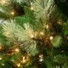 National Tree Company First Traditions Pre-Lit Charleston Pine Hinged Artificial Christmas Tree Clear Lights -Northlight Sale GUEST b1db2a13 18f8 49fb 96b1 79cf4605e666
