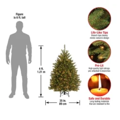Prelit Dunhill Fir Artificial Christmas Tree Clear Lights - National Tree Company -Northlight Sale GUEST b7ed0c20 d470 4bde 9b19 a826a11e3f29
